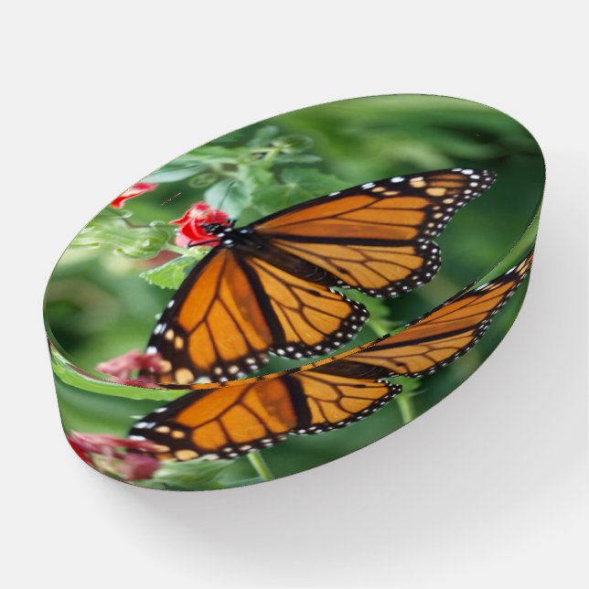 Oval Glass Paperweight of Monarch Butterfly (Angled)