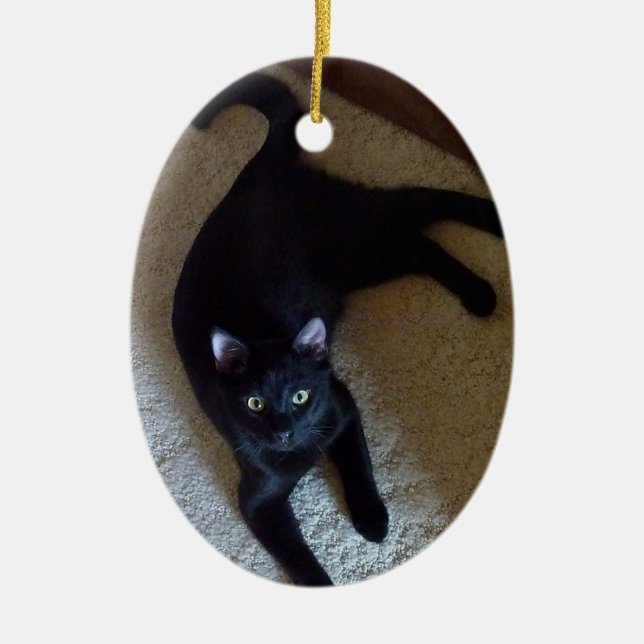 Oval Ornament - Custom Photo (Front)