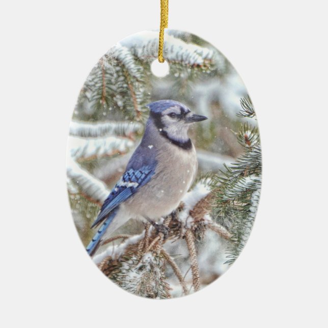 Oval ornament featuring a Blue Jay in snow (Front)