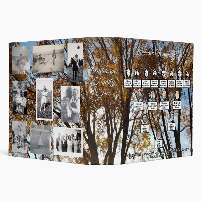 Oval Photos Family Tree Golden Autumn Trees 3 Ring Binder (Background)