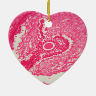 Ovary cells under the microscope. ceramic ornament