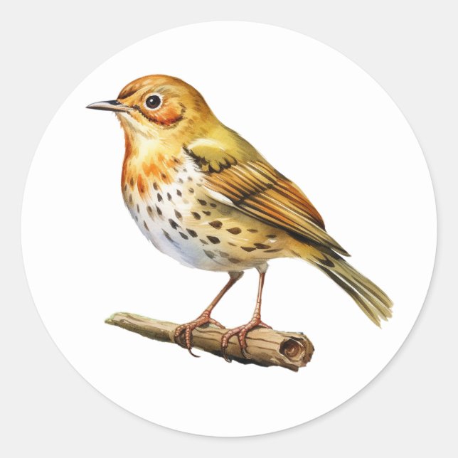 Oven Bird Stickers (Front)