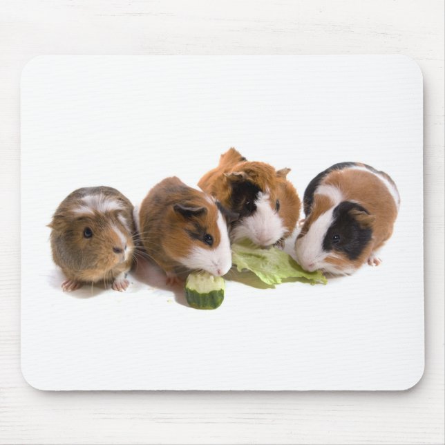 oven guinea pigs who eat, mouse pad (Front)