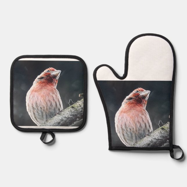 OVEN MITTS AND POT HOLDER - FINCH OVEN MITT & POT HOLDER SET (Front)