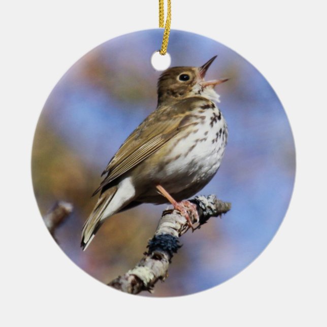 Ovenbird Ceramic Ornament (Front)