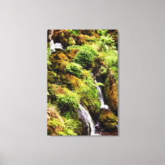 Over and Under Canvas Print