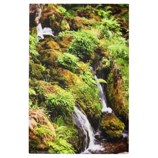 Over and Under Metal Print