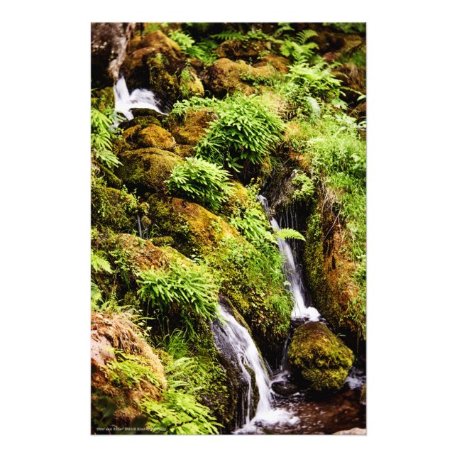 Over and Under Photo Print (Front)