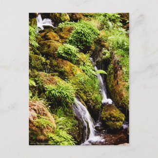 Over and Under Postcard