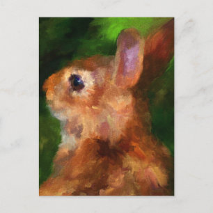 Over My Shoulder Rabbit Postcard