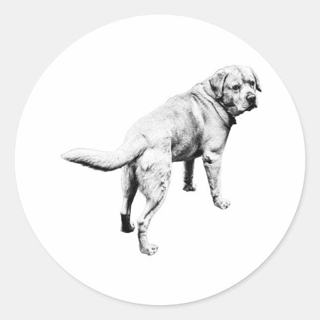Over-Shoulder Lab, Tail In Motion Classic Round Sticker (Front)