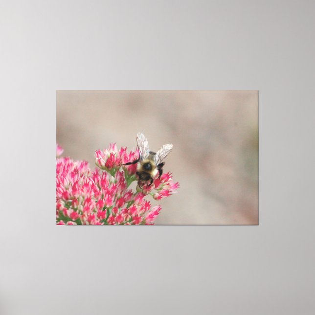 Over Sized Bee Canvas Print (Front)