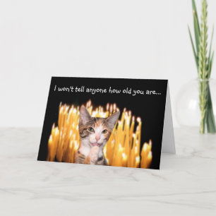 Over the hill cat birthday card