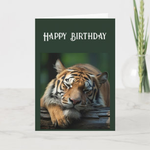 Over the Hill Seriously Big Cat Nap Card