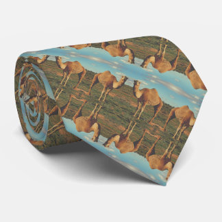 Over the Hump Neck Tie