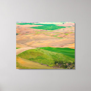 Over the Painted Palouse from Steptoe Butte Canvas Print