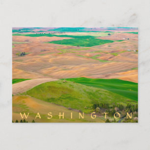 Over the Painted Palouse from Steptoe Butte Postcard