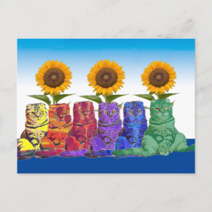 Over the Rainbow Cats Postcard