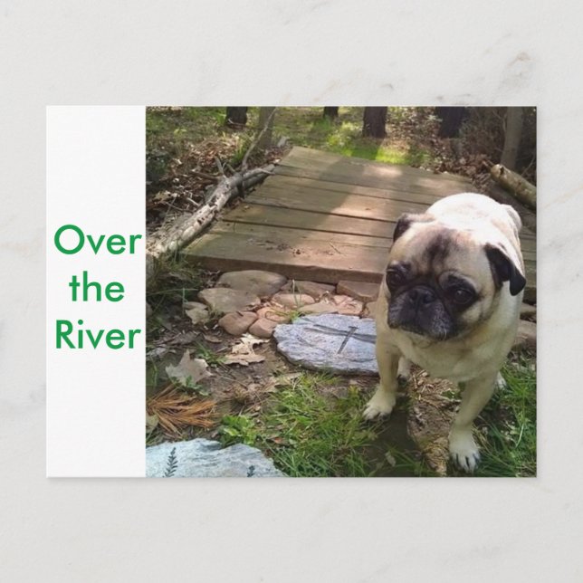 Over the River Postcard (Front)