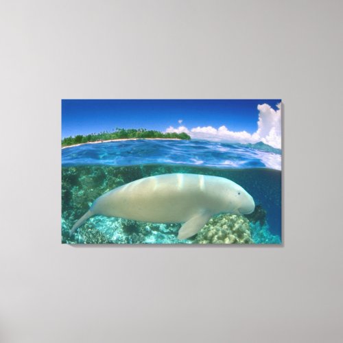 Over_under Dugong Close_Up Canvas Print