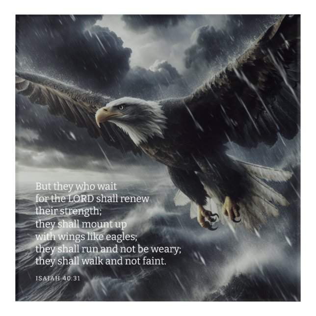 Overcoming The Storm Isaiah 40:31 Acrylic Print (Front)
