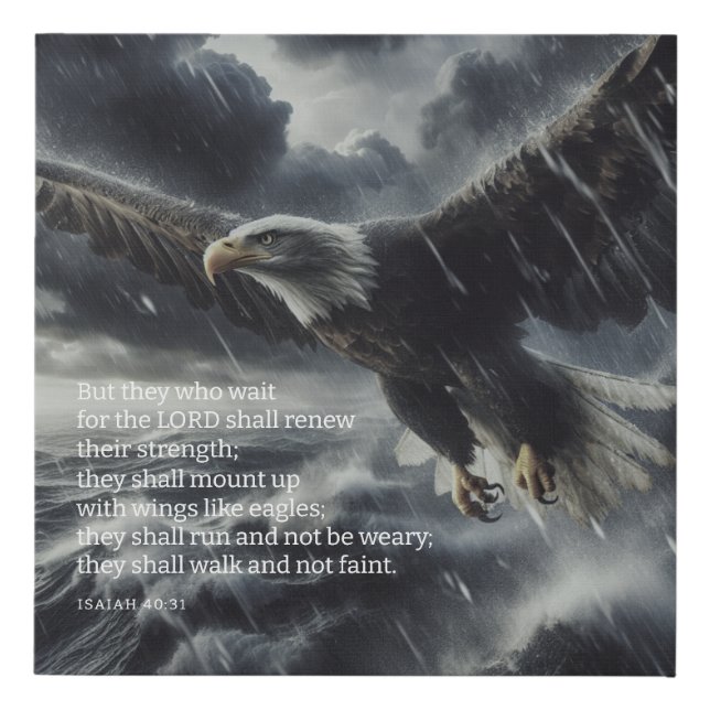Overcoming The Storm Isaiah 40:31 Faux Canvas Print (Front)