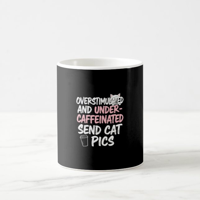 Overestimated Send Cat Pics Funny Mug (Center)