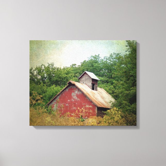 Overgrown and Abandoned Canvas Print (Front)