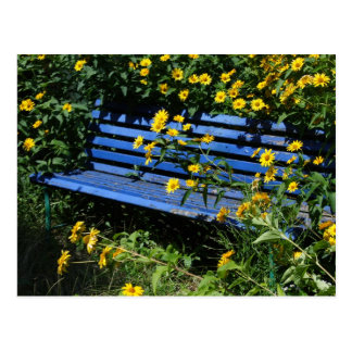 overgrown blue bench postcard