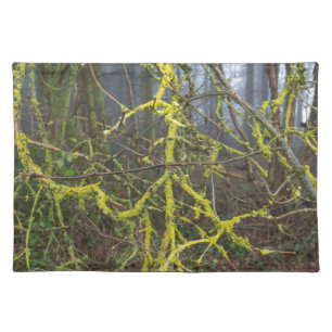 Overgrown branches with green moss cloth placemat
