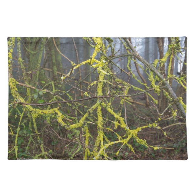 Overgrown branches with green moss cloth placemat (Front)