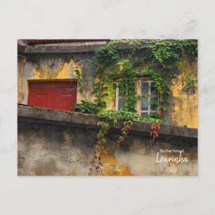 Overgrown- Lourinha- Portugal Postcard