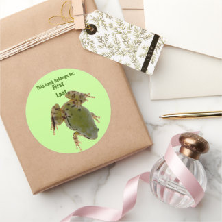 Overhead Frog Photograph Custom Classic Round Sticker