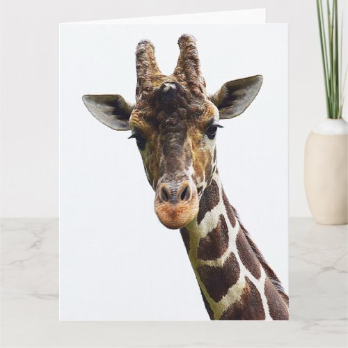 Overhead Giraffe Large Greeting Card