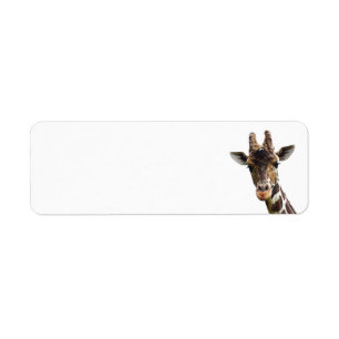 Overhead Giraffe Return Address Labels