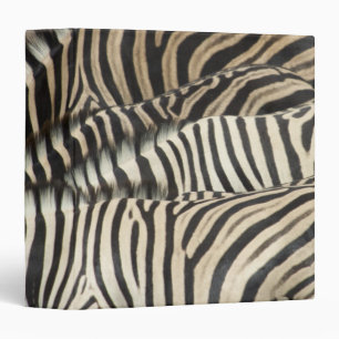 Overhead view of Burchell's Zebra 3 Ring Binder