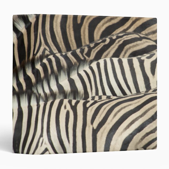 Overhead view of Burchell's Zebra 3 Ring Binder (Front/Spine)