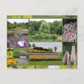 Overland Park Arboretum and Botanical Gardens Postcard
