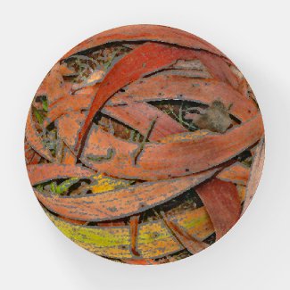 OVERLAPPING LAYERS OF KOA TREE PODS/TERRACOTTA COL