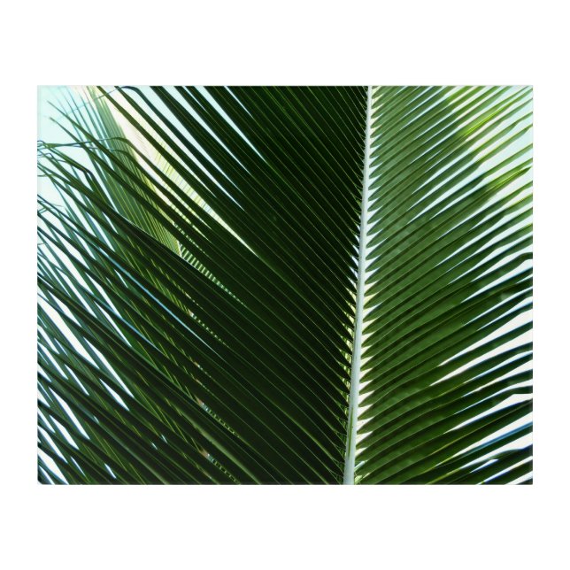 Overlapping Palm Fronds Tropical Green Abstract Acrylic Print (Front)