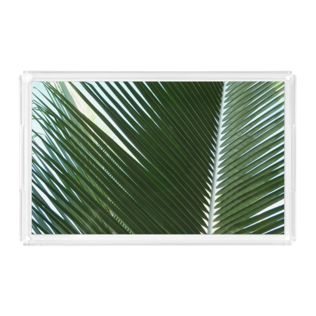 Overlapping Palm Fronds Tropical Green Abstract Acrylic Tray (Front)