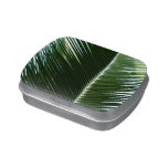 Overlapping Palm Fronds Tropical Green Abstract Candy Tin