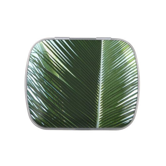 Overlapping Palm Fronds Tropical Green Abstract Candy Tin (Top)