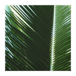 Overlapping Palm Fronds Tropical Green Abstract Canvas Print