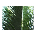 Overlapping Palm Fronds Tropical Green Abstract Canvas Print