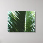 Overlapping Palm Fronds Tropical Green Abstract Canvas Print