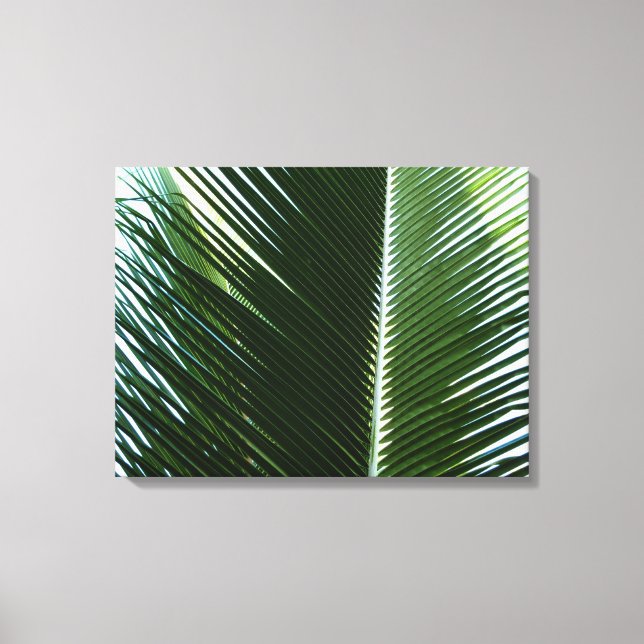 Overlapping Palm Fronds Tropical Green Abstract Canvas Print (Front)