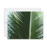 Overlapping Palm Fronds Tropical Green Abstract Card