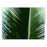 Overlapping Palm Fronds Tropical Green Abstract Card