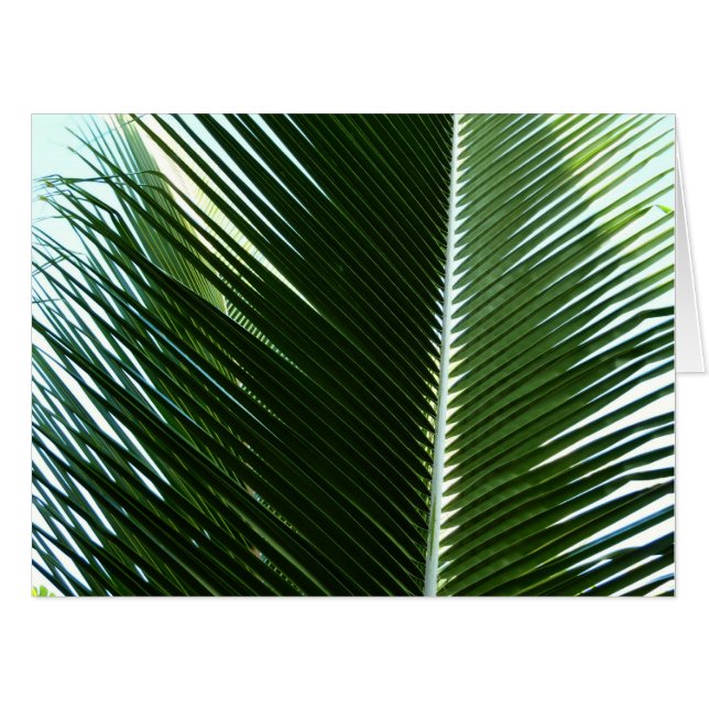 Overlapping Palm Fronds Tropical Green Abstract Card (Front Horizontal)